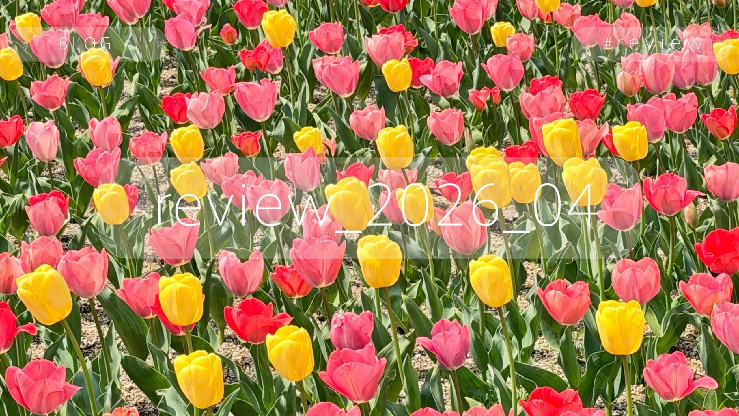 review_2026_04